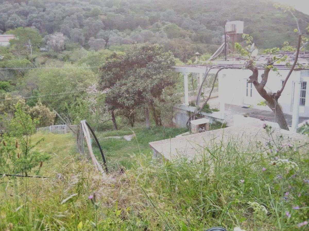 Angel Villa Strovles Exterior photo